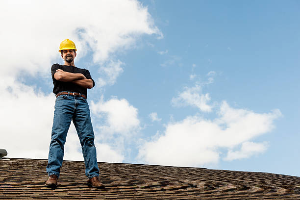 Best Roof Gutter Cleaning  in De Witt, NY